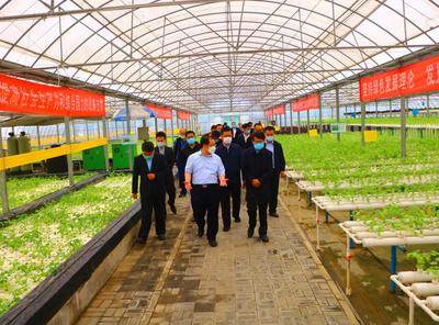 第十届北京(通州)国际都市农业科技节开幕,“云”游科技盛会